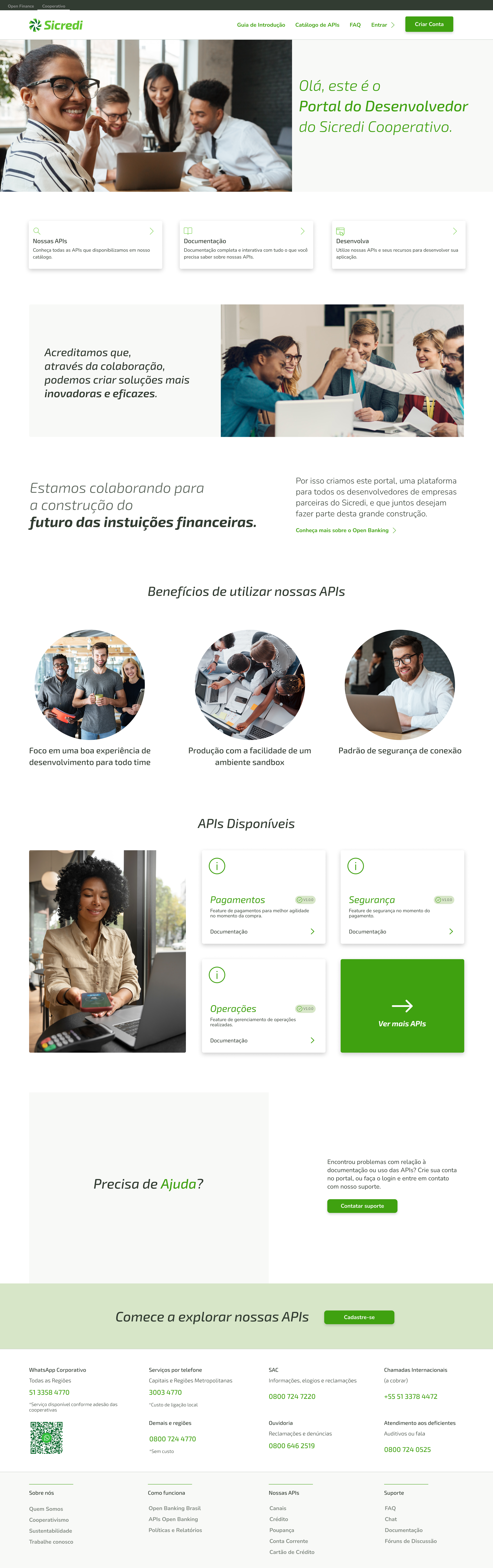 Imagem API Dev Portal
